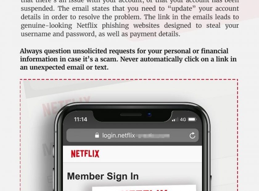 Netflix scam