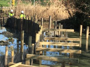 Woodford Park lake boardwalk
