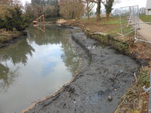 Woodford Park Lake developments silt