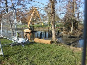 Woodford Park lake bank area