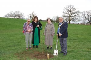 Christ Church tree at Woodford Park