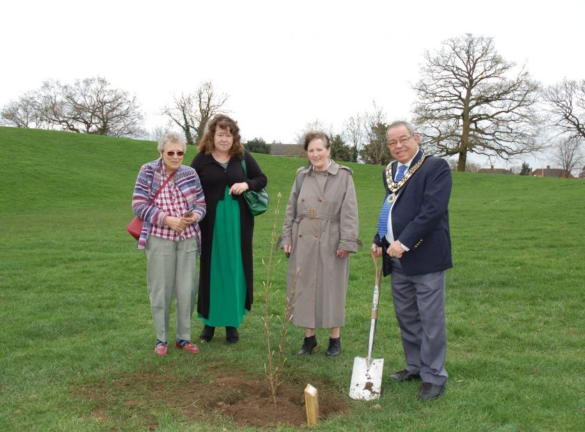 Christ Church tree at Woodford Park
