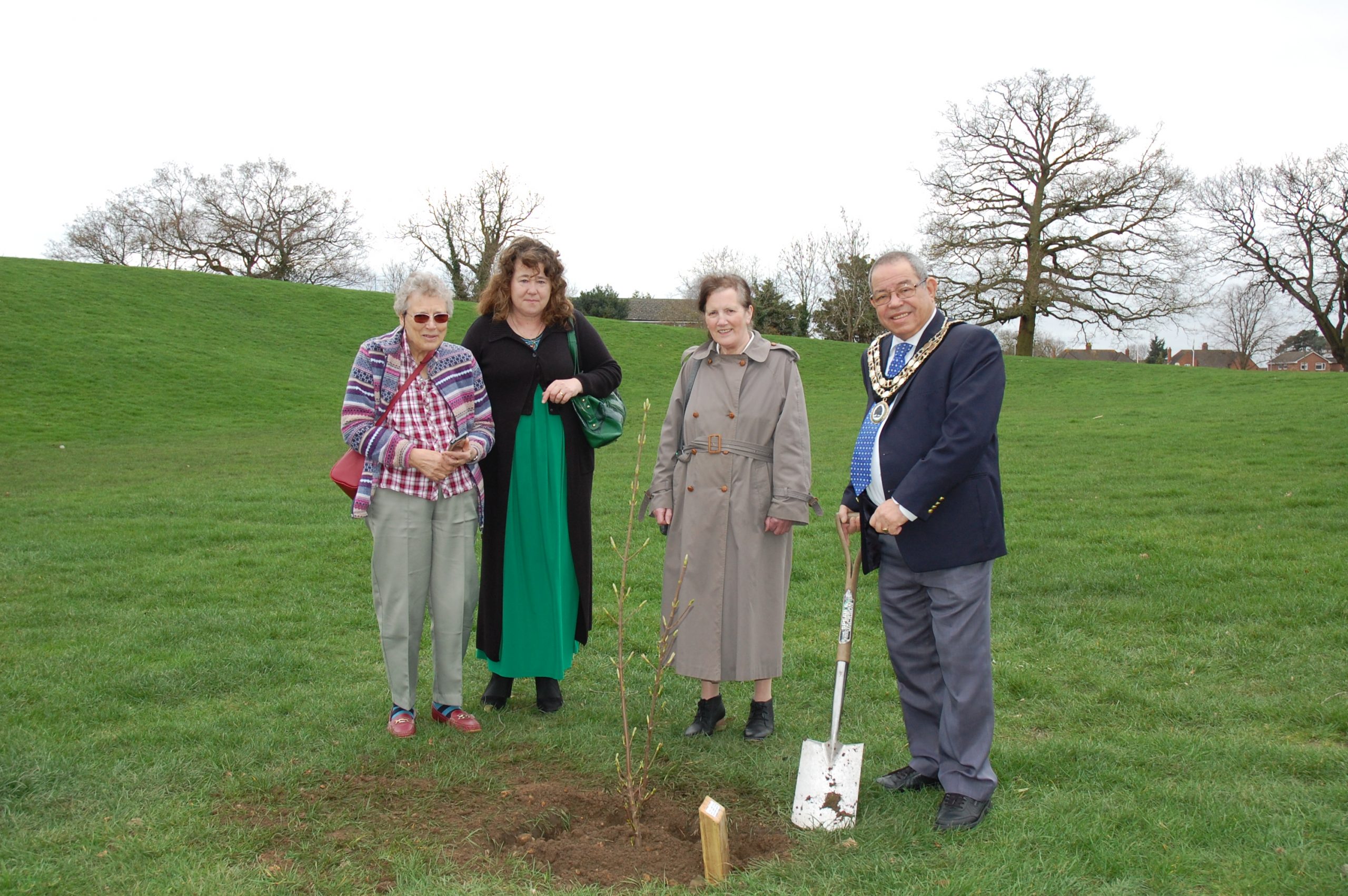 Christ Church tree at Woodford Park