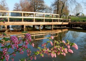 Woodford Park lake boardwalk Woodley