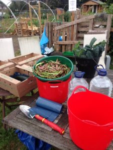 Woodley town council Launchpad Readifood Sadaka