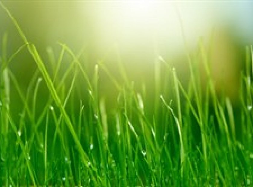 grass cutting in Wokingham borough