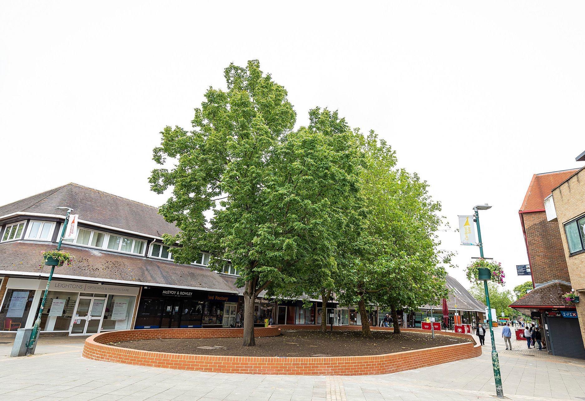 community garden seating woodley town centre