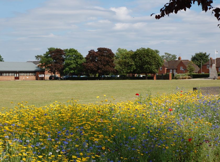 protecting local green spaces in woodley