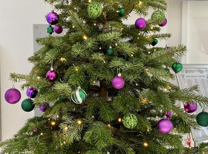 sustainable Christmas tree Woodley Town Council