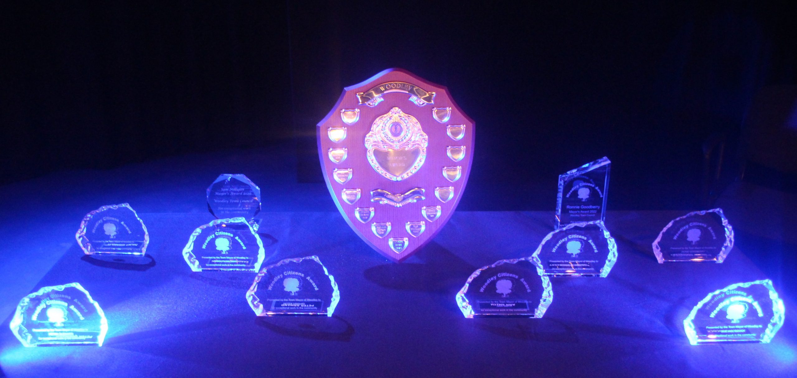 2022 Citizens Awards