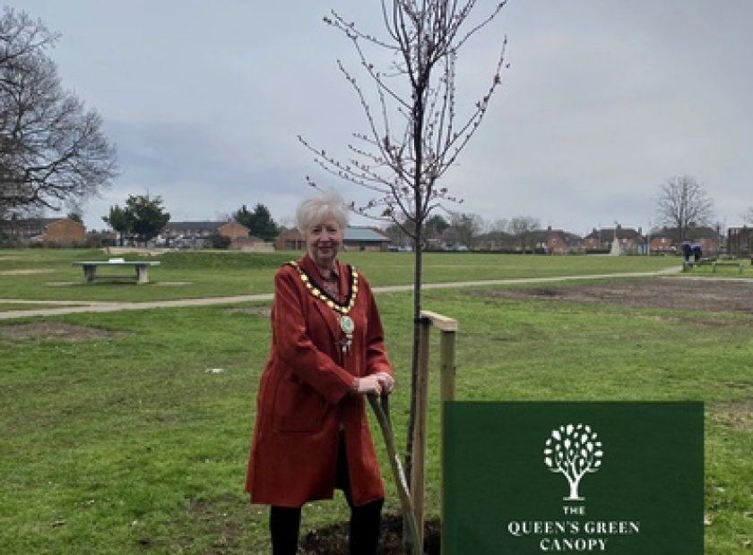 Mayor plants tree for Queens platinum jubilee