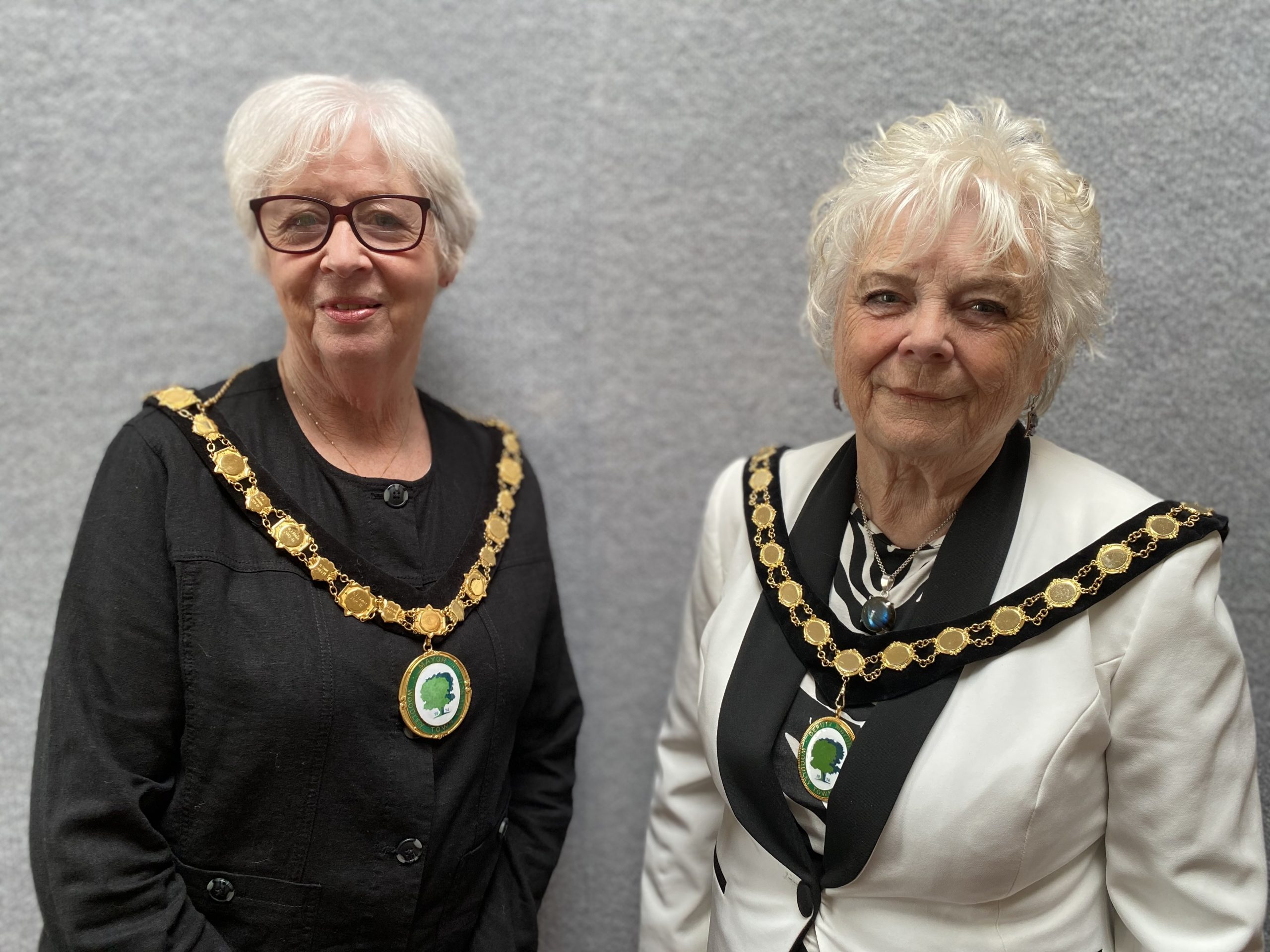 Woodley Town Mayor and Woodley Town deputy mayor