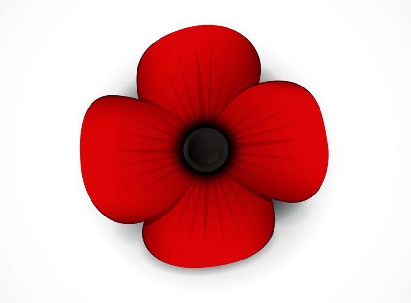 Cartoon poppy image