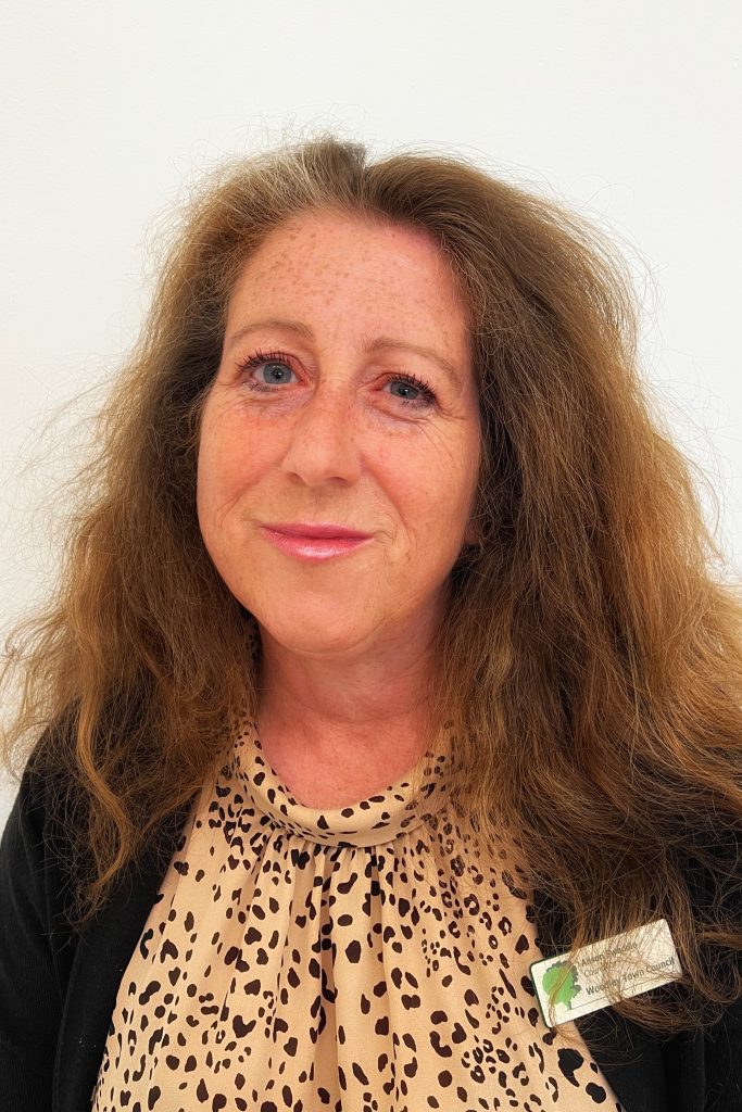 Councillor Alison Swaddle