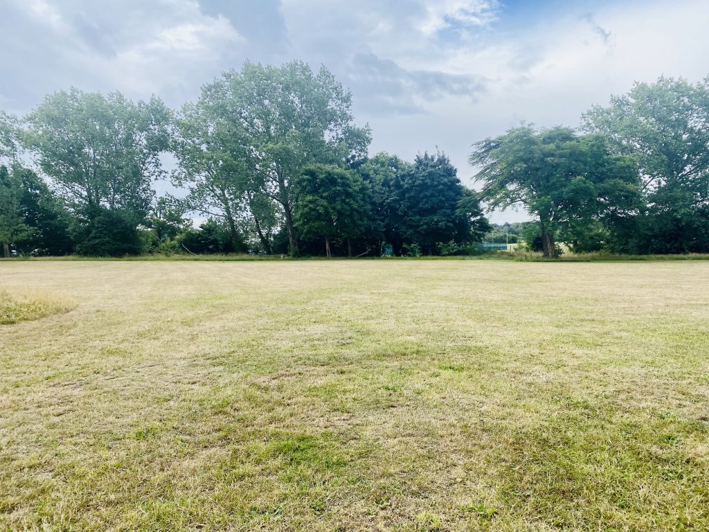 Bulmershe Open Space