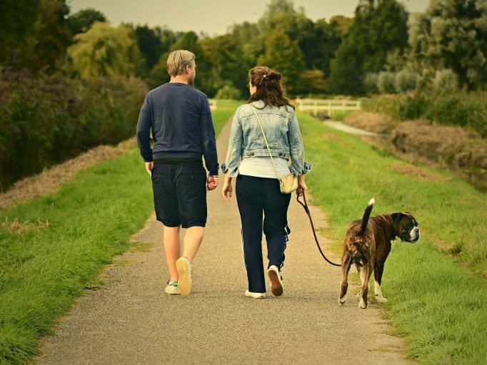 A man and a woman walking a dog