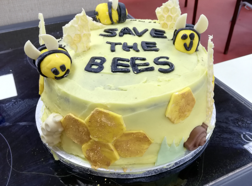 winning cake of woodley schools bake off competition