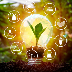 Leafy plant in a lightbulb