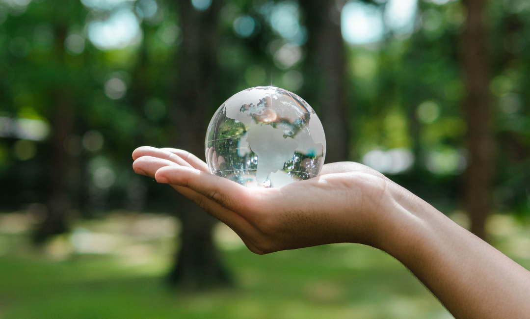 climate emergency image of a hand holding a glass globe in front of a forest