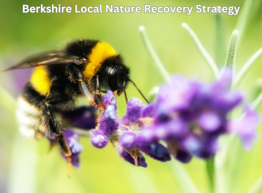 Berkshire Local Nature Recovery Strategy