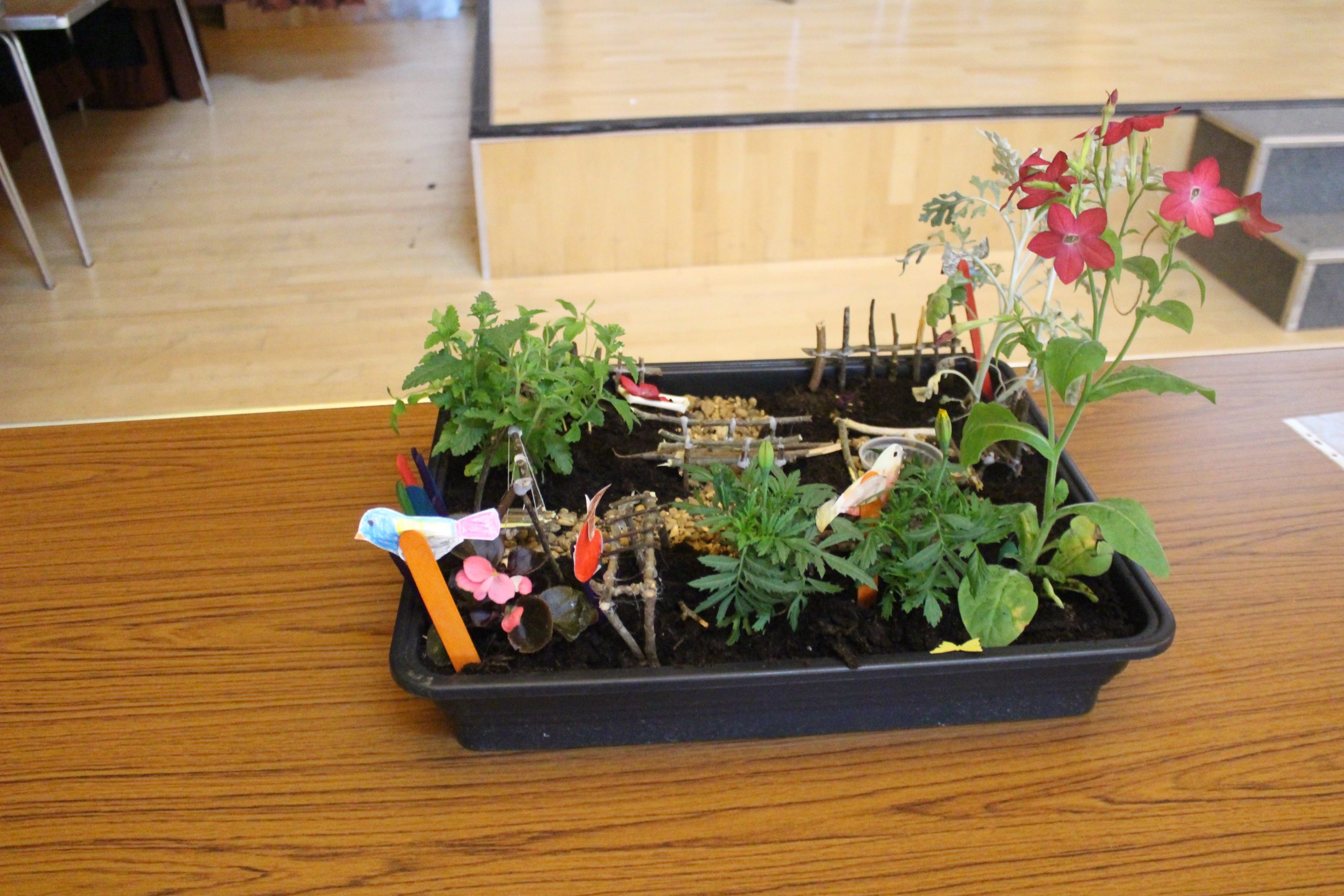 Photography by Year 12 Waingels Student