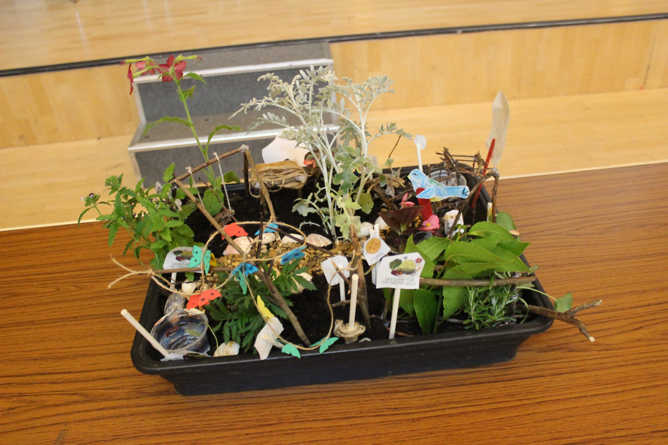 Photography by Year 12 Waingels Student