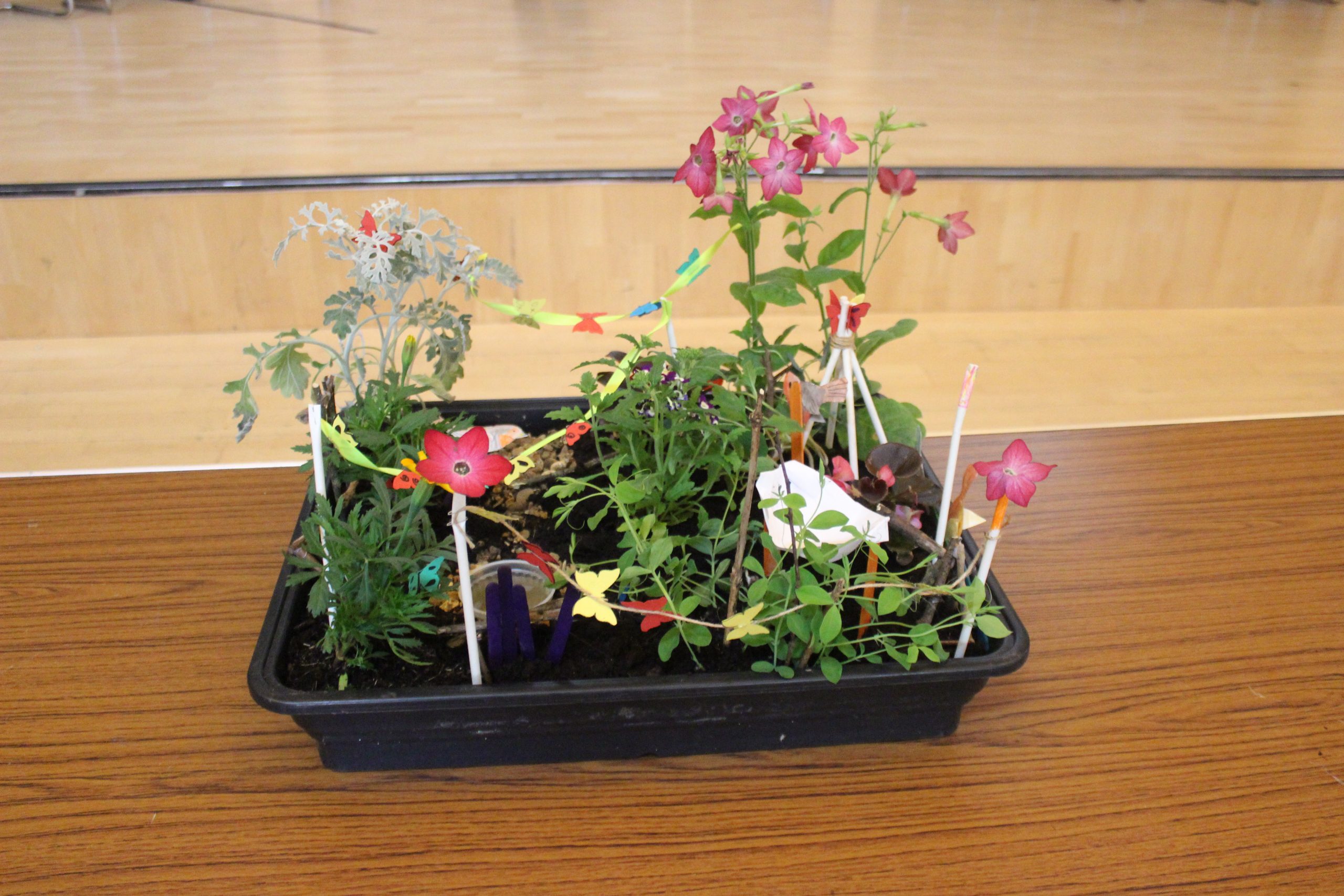 Photography by Year 12 Waingels Student