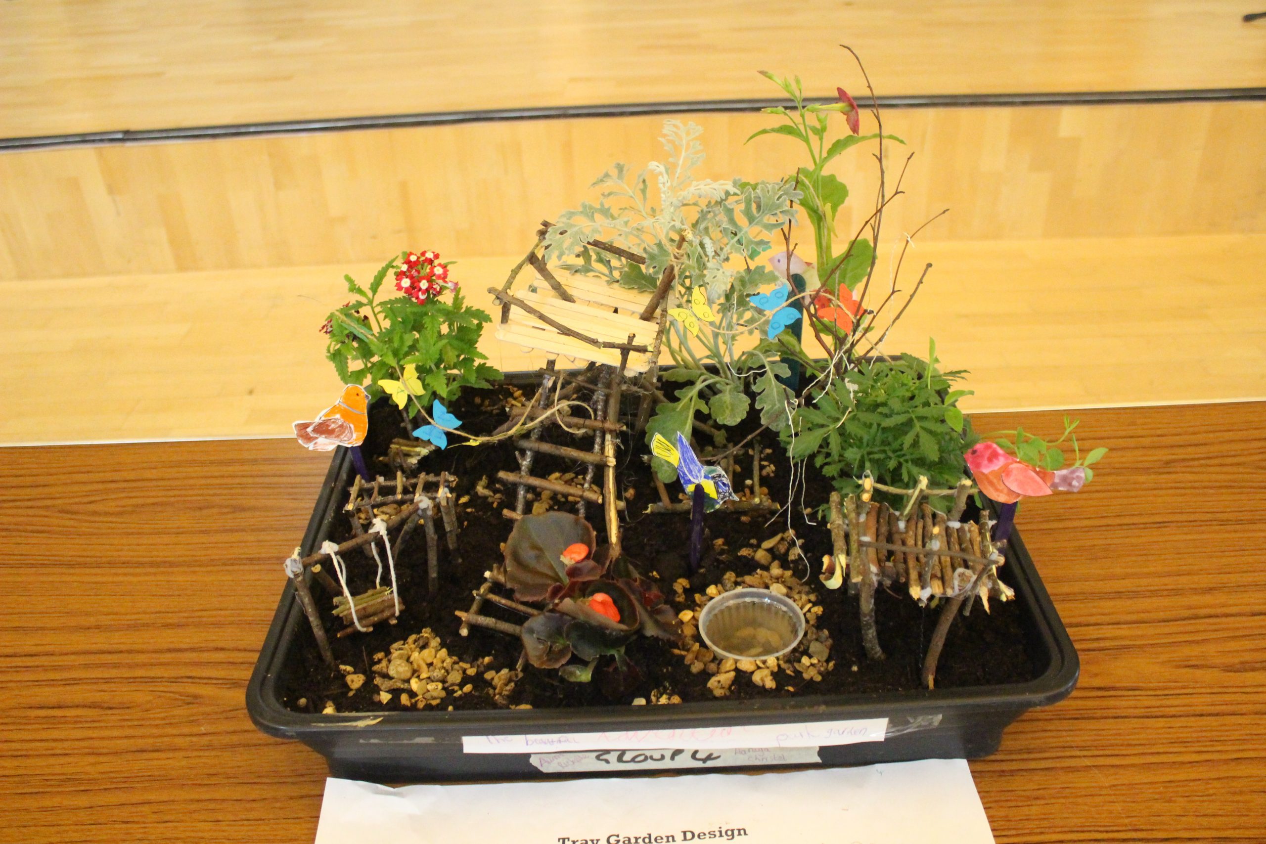 Photography by Year 12 Waingels Student