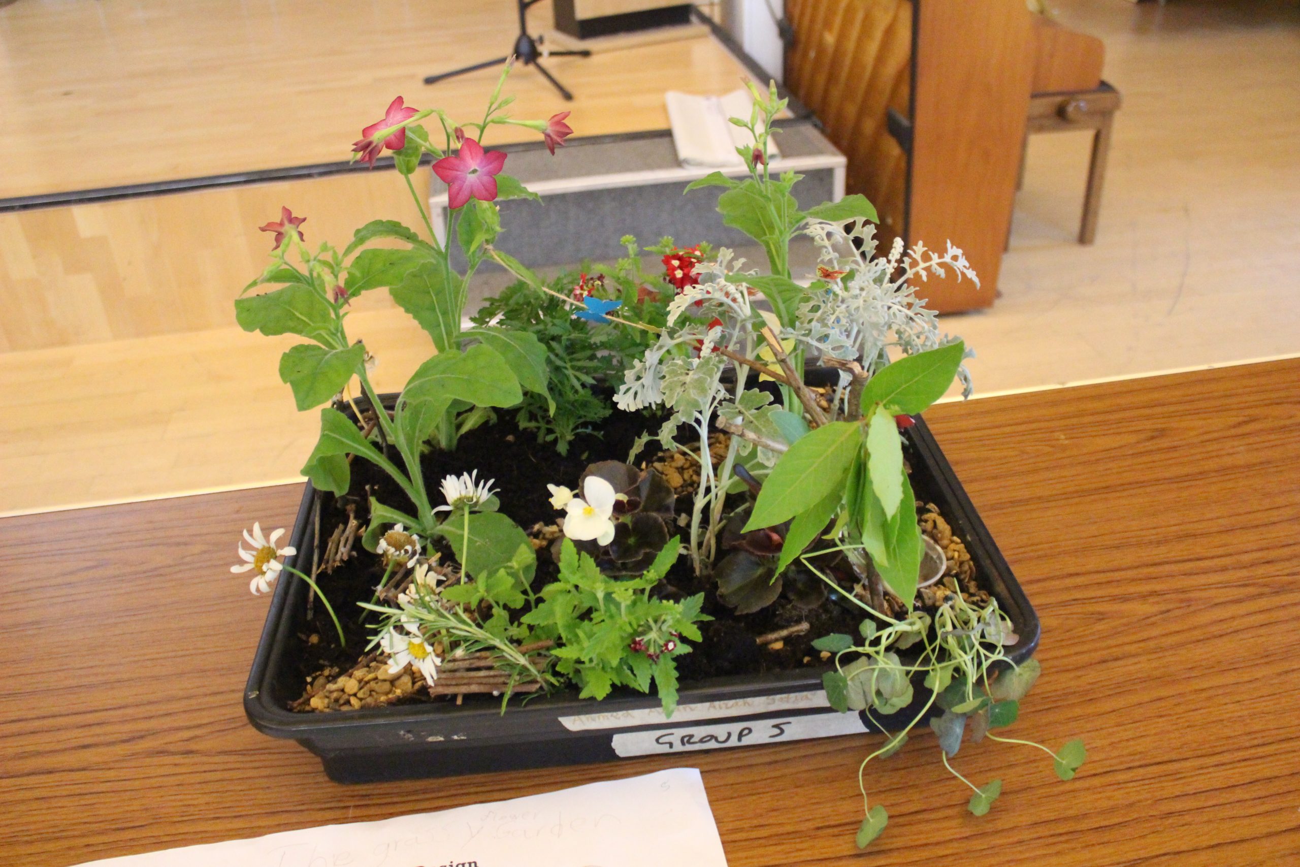 Photography by Year 12 Waingels Student