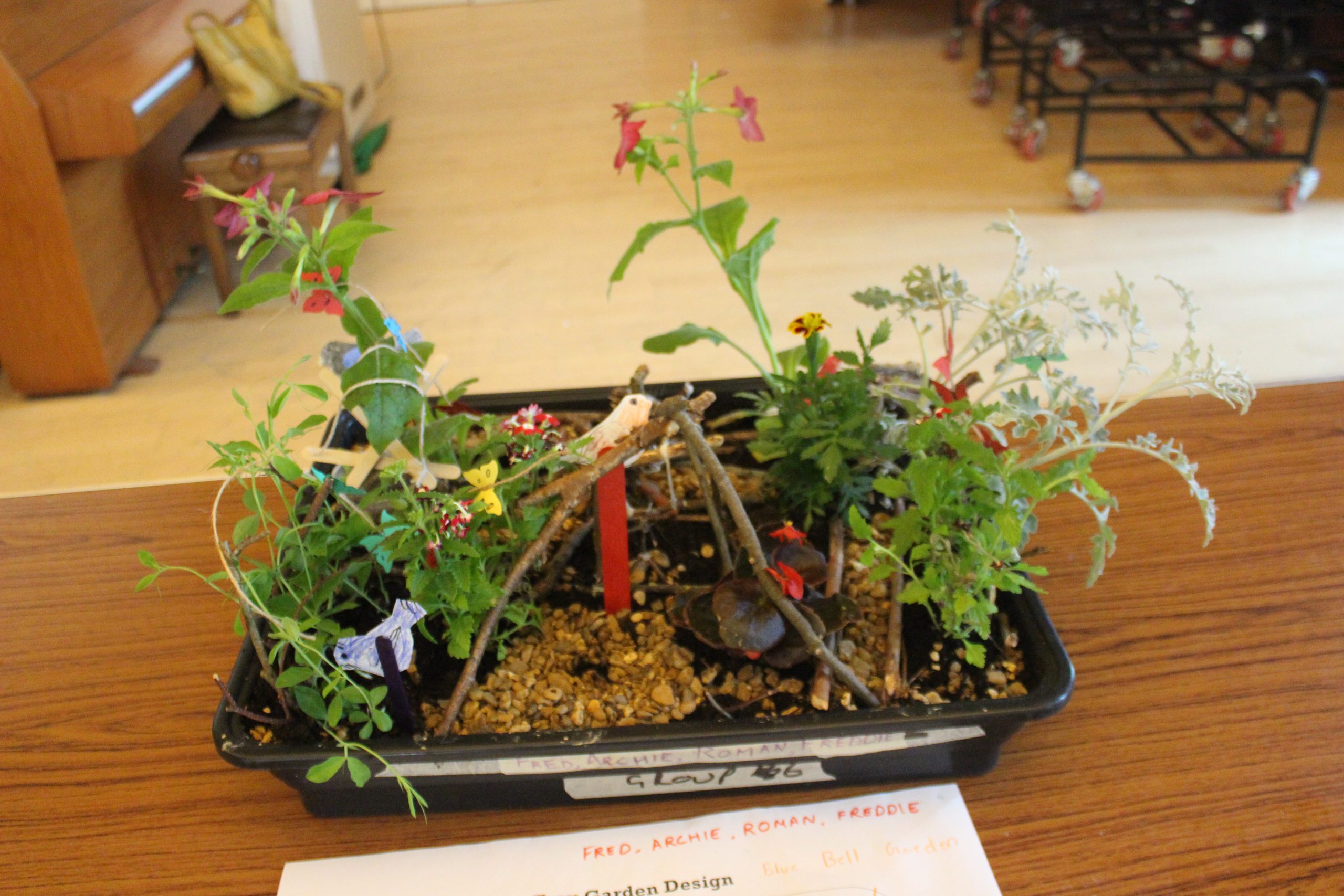 Photography by Year 12 Waingels Student