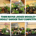Woodley Town Mayor judges Woodley Schools Garden Tray Competition