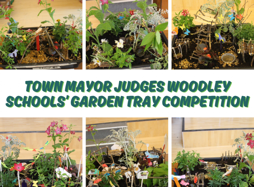 Woodley Town Mayor judges Woodley Schools Garden Tray Competition