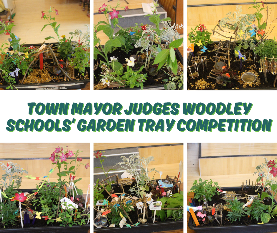 Woodley Town Mayor judges Woodley Schools Garden Tray Competition